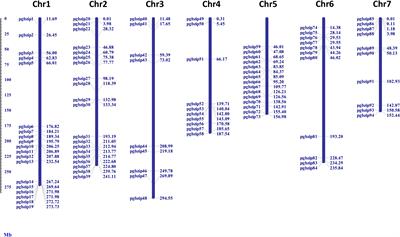 “Genome-wide identification of bZIP gene family in Pearl millet and transcriptional profiling under abiotic stress, phytohormonal treatments; and functional characterization of PgbZIP9”